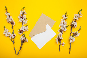Envelope and blank letter, flowering apricot branches on a yellow background.