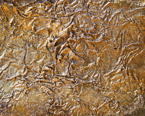 Golden relief texture 