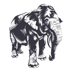 Vector Elephant Art