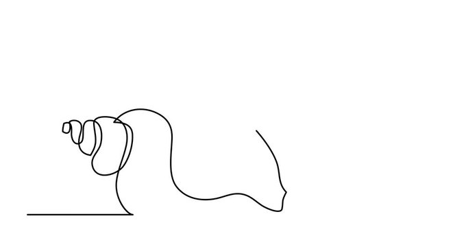 Self drawing animation of single line drawing of sea shell