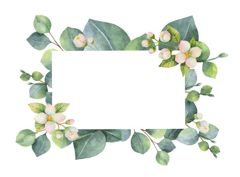Watercolor vector green floral card with eucalyptus leaves, Jasmine flowers and branches isolated on white background.
