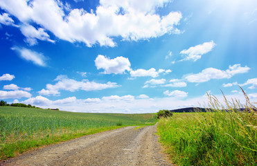 Road with green field and blue sky .