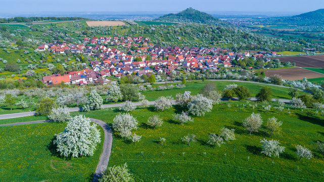 Kirschplantagen bei der Ortschaft Hepsisau