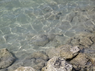 paesaggio di mare, viaggio in red sea