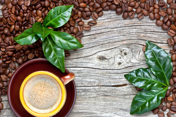 Fototapeta na wymiar Cup of coffee with fresh coffee leaves on coffee beans background