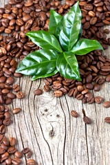 Roasted coffee beans with green leaves on wooden background