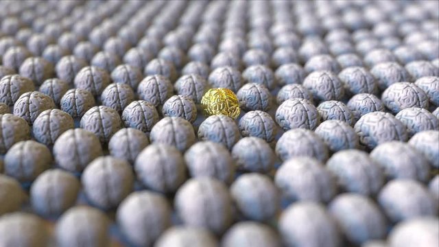 Golden brain among the usual minds. Education, wisdom or talent conceptual 3D animation