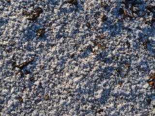 Raw ground covered with the first fallen snow