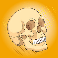 Pop art medical objects human skull. Comic book style imitation