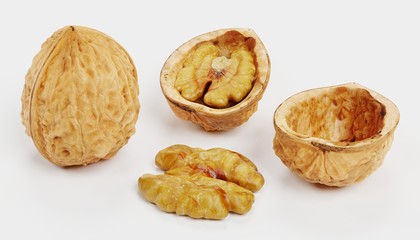 Realistic 3D Render of Walnut