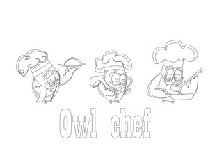 Funny owls, set on a chef theme, on an isolated background