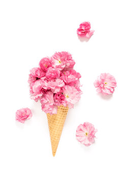 Spring flowers Cherry tree blossom ice cream waffle cone