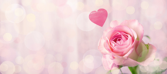 Romantic rose flower background with heart - obrazy, fototapety, plakaty