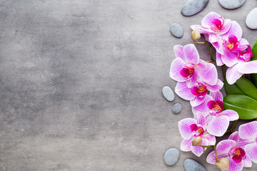 Beauty orchid on a gray background. Spa scene.