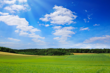 Field and blue sky with clouds.