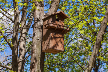 wooden birdhouse on the tree