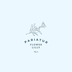 Lilly Flower Abstract Vector Sign, Symbol or Logo Template. Hand Drawn Retro Lilly Illustration with Classy Typography. Premium Quality Feminine Emblem for Boutiques, SPA, Salons, etc.