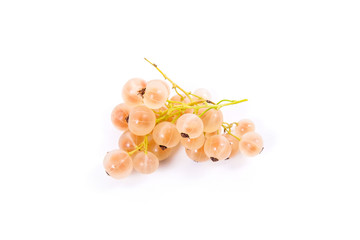 White currant berry isolated on white. A bunch of white currant..