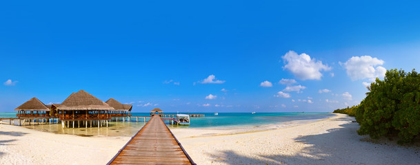 Tropical Maldives island