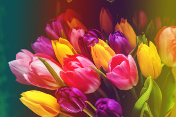 Tulips bouquet