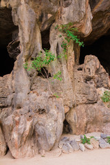 Rock reliefs thai stone texture beautiful monumentally, NATIONAL PARK, Phang Nga Bay, Thailand. Texture of limestone cliffs.