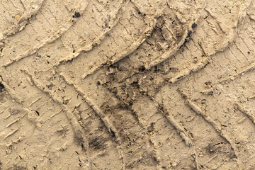 Tire tracks on a wet muddy road