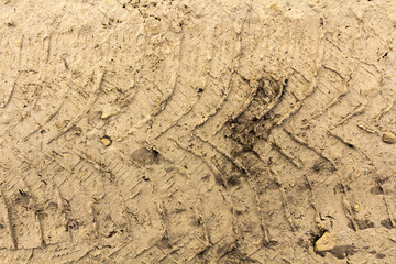 Tire tracks on a wet muddy road