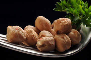 Cicer arietinum Ciecierzyca pospolita Cizrna beraní Csicseriborsó Cece Kichererbse حمص شائع Năut Kikherne Kikärt Chickpea Kikkererwt Ceci Chick pea Нут бараний Đậu gà Grão-de-bico 鹰嘴豆
