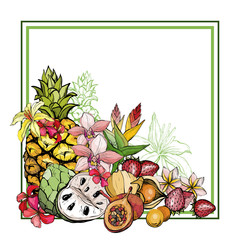 Summer background with fruit and flowers