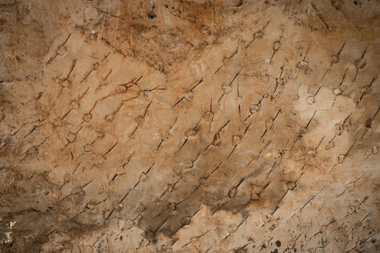 wall detail in Izamal Yucatan Mexico