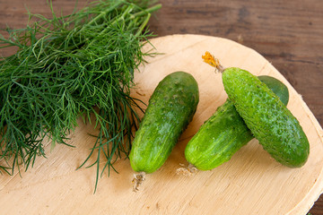 Cucumbers and bunch of fresh organic dill on a rustic wooden background.