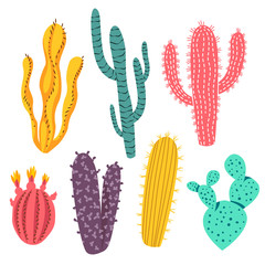 Various Colorful Cactus Plant Designs