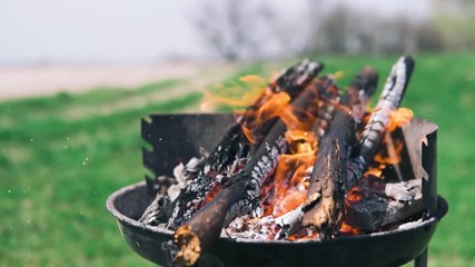 fire burns firewood in a round barbecue, outdoors during the day, slow-motion shooting, preparation for cooking on BBQ, space for text Cooking on the Grill - Powered by Adobe