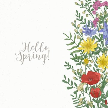 Square card decorated with wild blooming flowers and meadow flowering herbs at right edge and Hello Spring inscription. Beautiful decorative floral background. Hand drawn vector illustration.