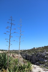 Obraz premium Surroundings of the Blue Grotto at the Mediterranean Sea, Malta 