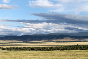 Wide steppe with yellow grass under a blue sky with white clouds Sayan mountains Siberia Russia