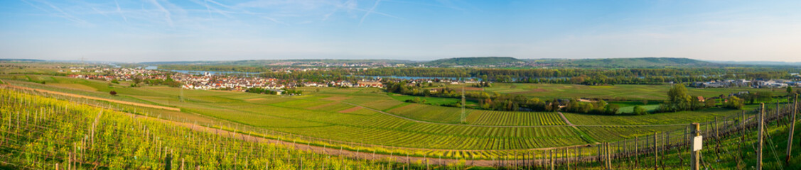 Fototapeta na wymiar Der Rheingau vom Goetheblick in Johannisberg aus