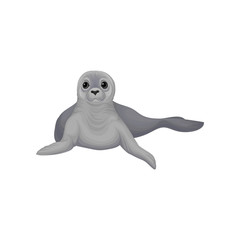 Seal sea animal, inhabitant of cold seas vector Illustration on a white background
