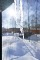 Naklejka na ściany i meble beautiful shiny transparent icicles hang on a clear day