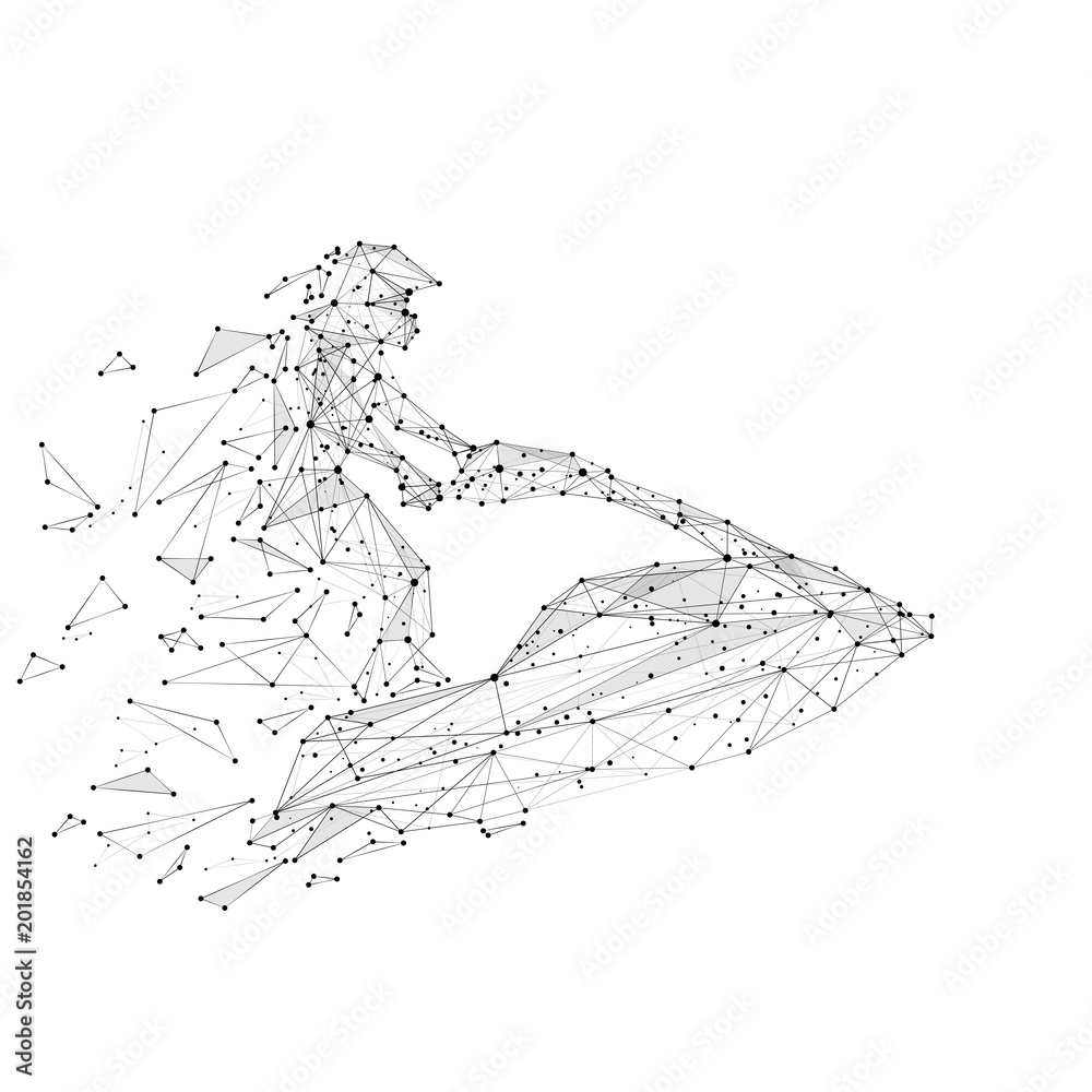 Poster abstract mash line and point ski jet origami on white background with the effect of destruction. sta