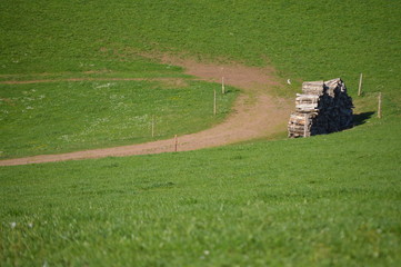 Holzstapel © ernstboese