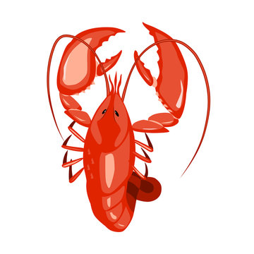 Lobster vector illustration. Isolated object on white background. Seafood product, restaurant menu. Hand drawn painting.