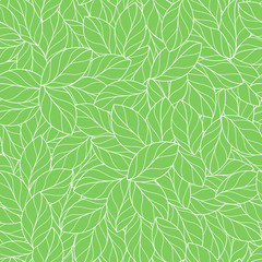 Fototapeta na wymiar Seamless linear leaves pattern