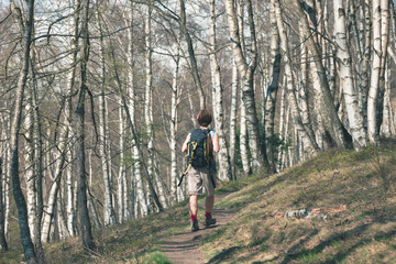 Obraz premium Woman hiking in the forest, one person walking in woodland, backpacking summer adventure travel, rear view, toned image