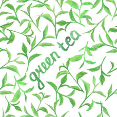 Watercolor pattern with green tea leaves