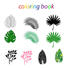 Fototapeta na wymiar Coloring book of a tropical leaf for beginners to draw and children