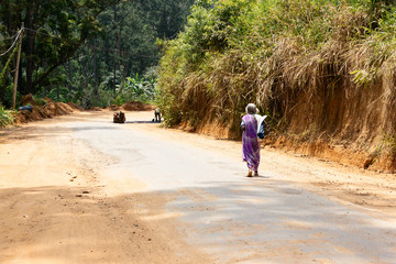 Old lonely Sri Lanka women are going on the road and carries the bag with Ceylon's tea.