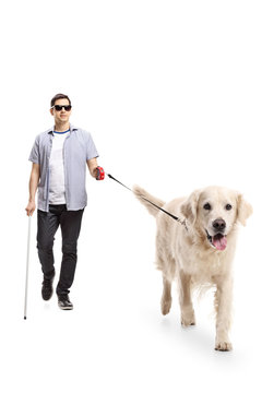 Blind young man walking with the help of a dog