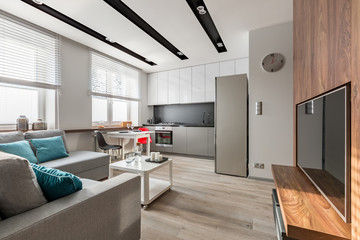 Contemporary home interior with tv - obrazy, fototapety, plakaty