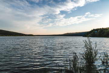 reflection of pine tree in a lake river outdoor relax weekend camp, space for text